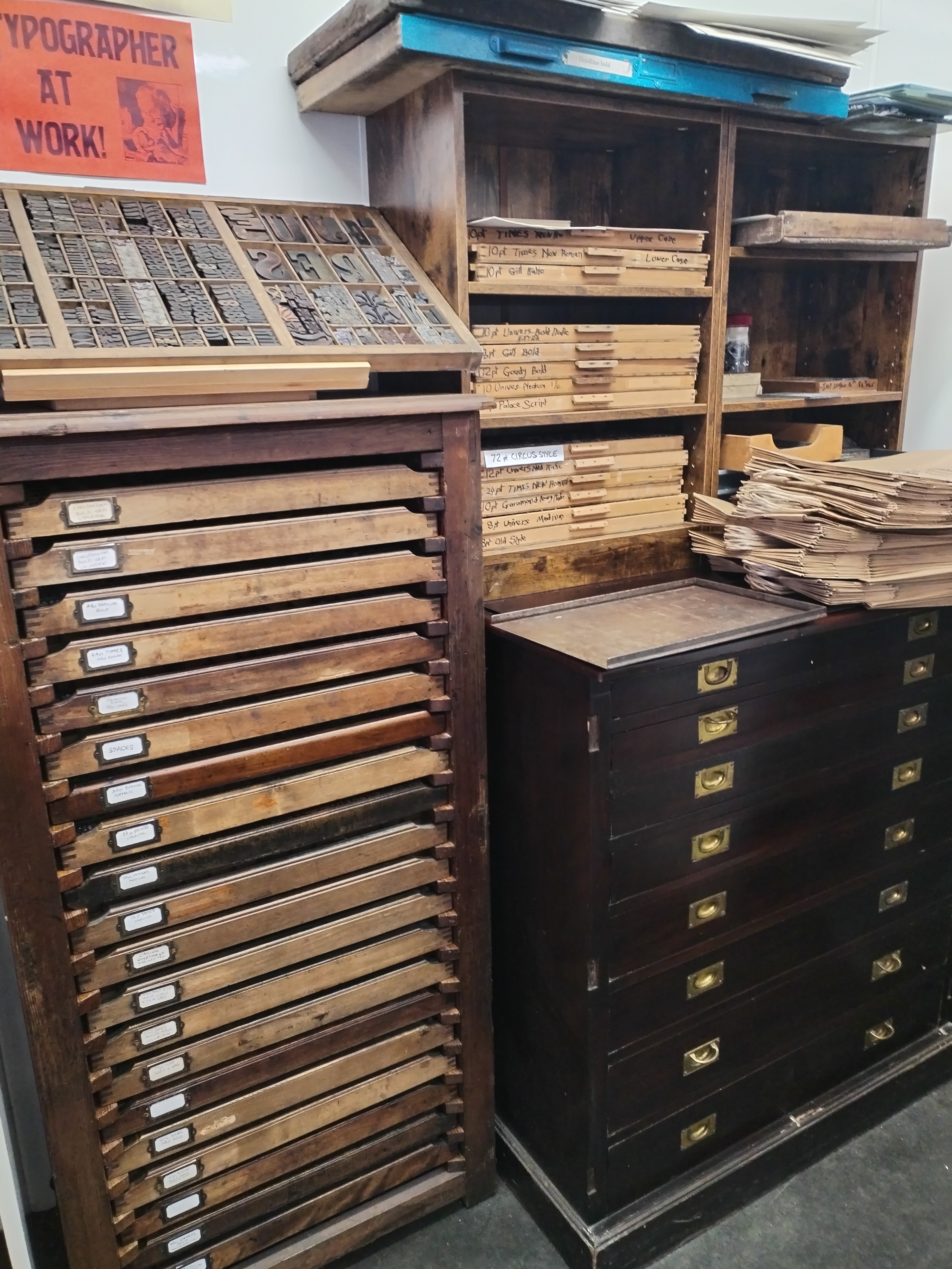 Our Collections
